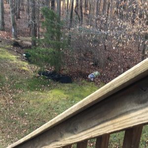 Meet your Posher, Schuyler